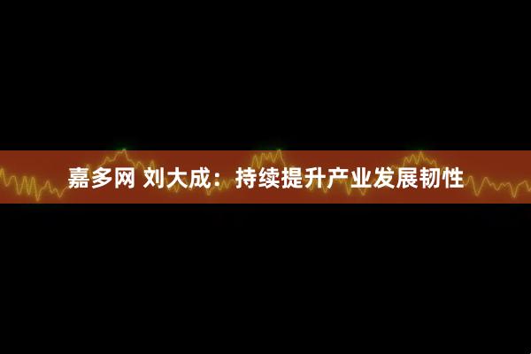 嘉多网 刘大成：持续提升产业发展韧性
