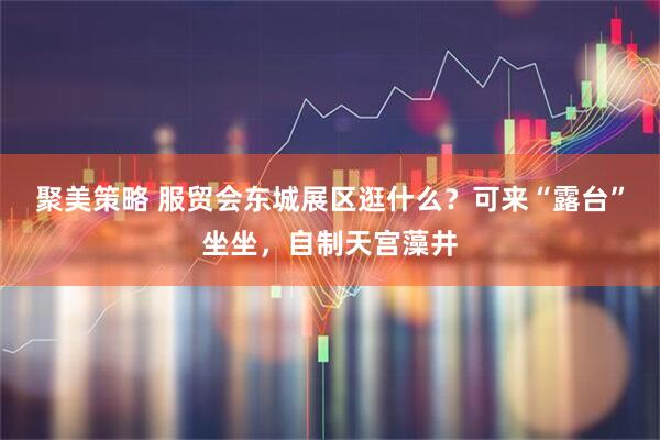 聚美策略 服贸会东城展区逛什么？可来“露台”坐坐，自制天宫藻井