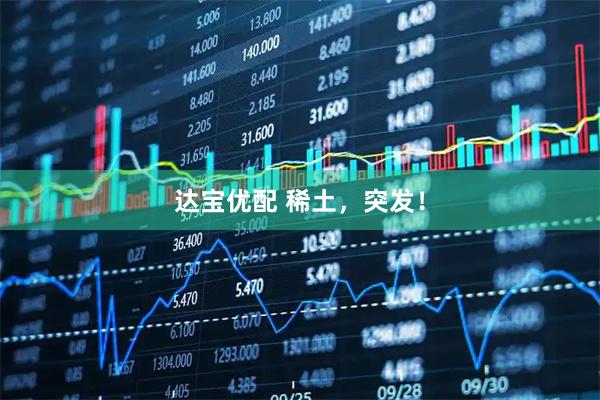 达宝优配 稀土，突发！
